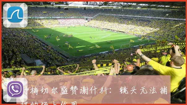 舒梅切尔盛赞谢什科：镜头无法捕捉的场上作用