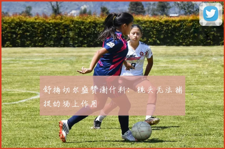 舒梅切尔盛赞谢什科:镜头无法捕捉的场上作用